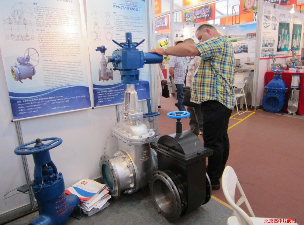 2012�V����--�͑�����