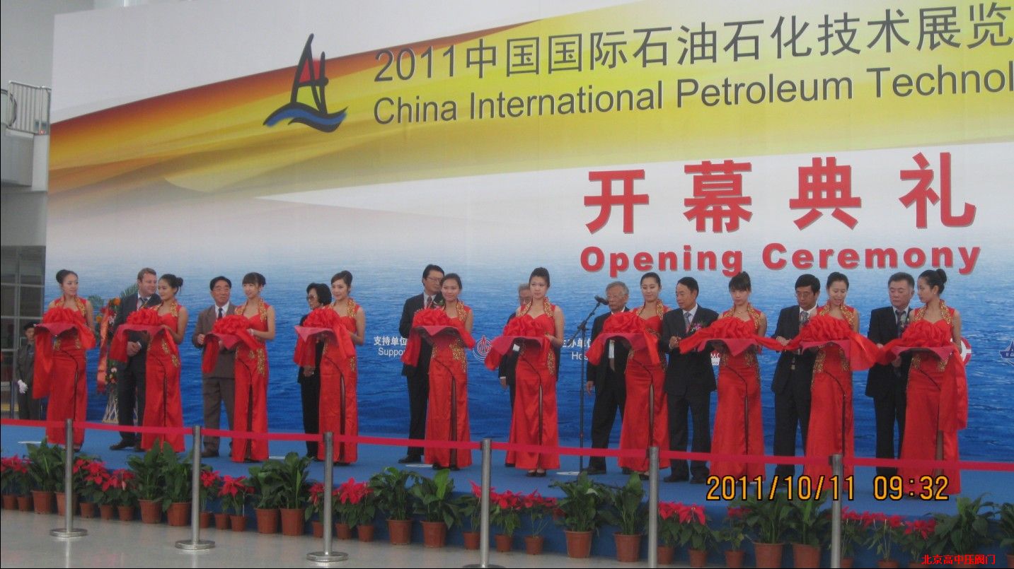 2011ʯ��չ�_Ļʽ